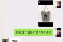 察隅追债公司联系电话:高效解决债务问题的专业选择 察隅追债公司联系电话:高效解决债务问题的专业选择