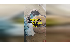 讨债人卡组教学:打造高效催收团队的关键 讨债人卡组教学:打造高效催收团队的关键